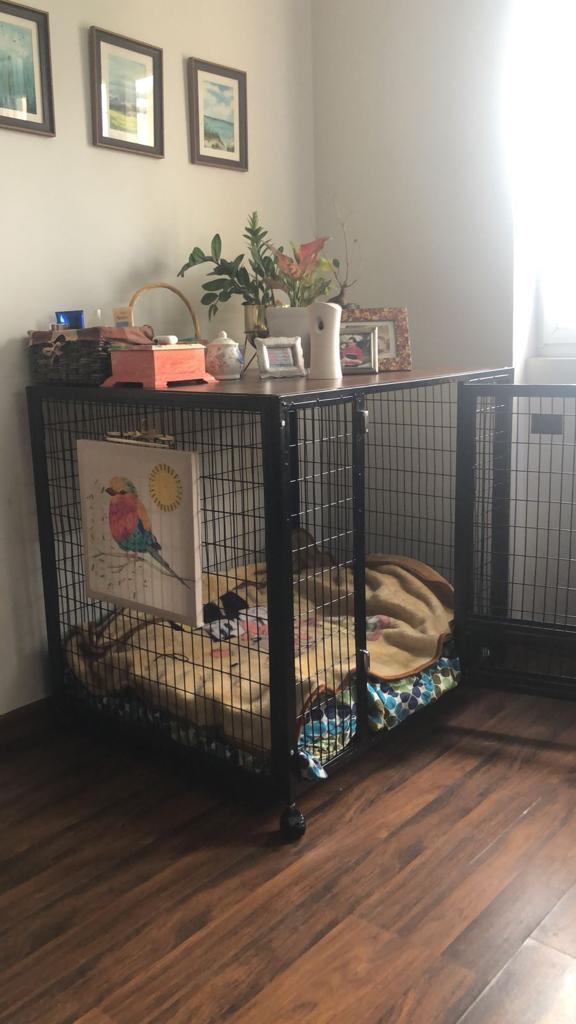 Petarchi PEPPER® Dog Crate