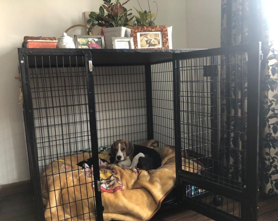 Petarchi PEPPER® Dog Crate