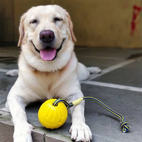 Petarchi UltraGrip Foam Rope Ball