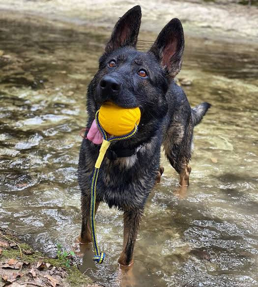 Petarchi UltraGrip Foam Rope Ball