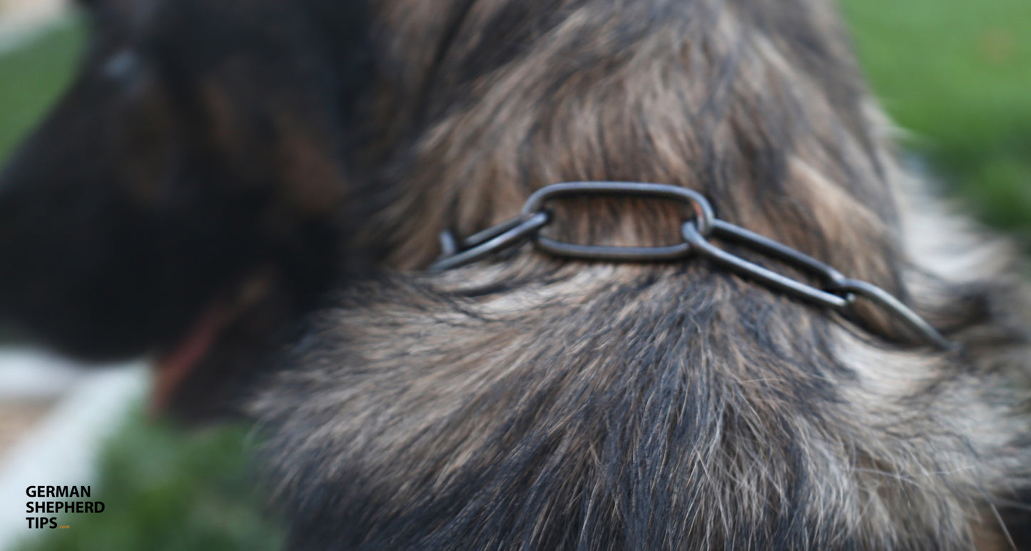 Herm Sprenger Fursaver Collar(Stainless Steel)