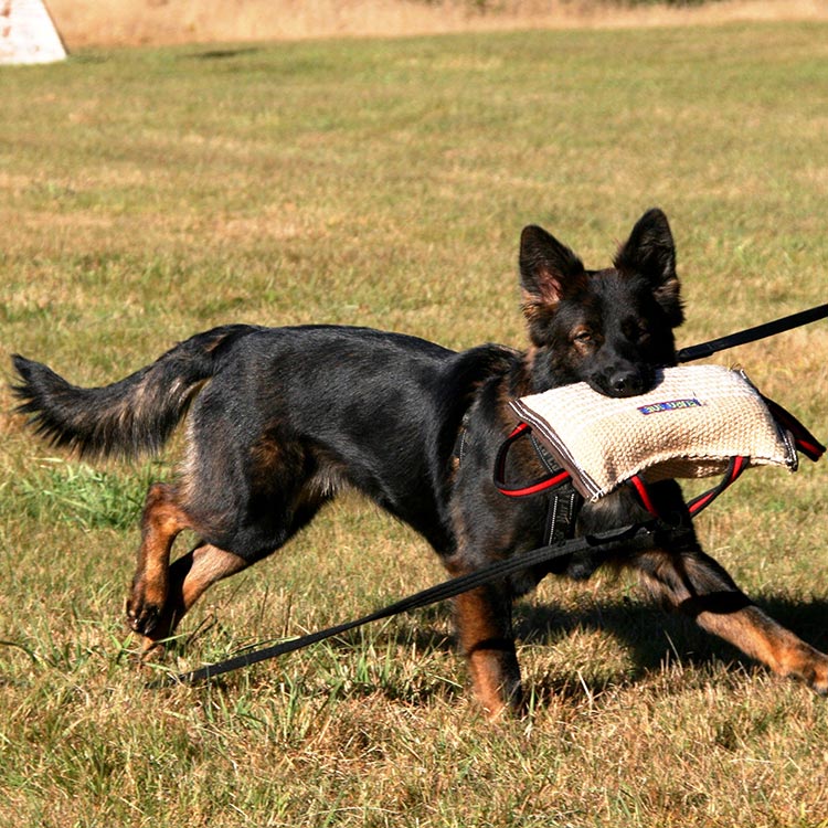 Euro Joe Bite cushion (Original), Jute