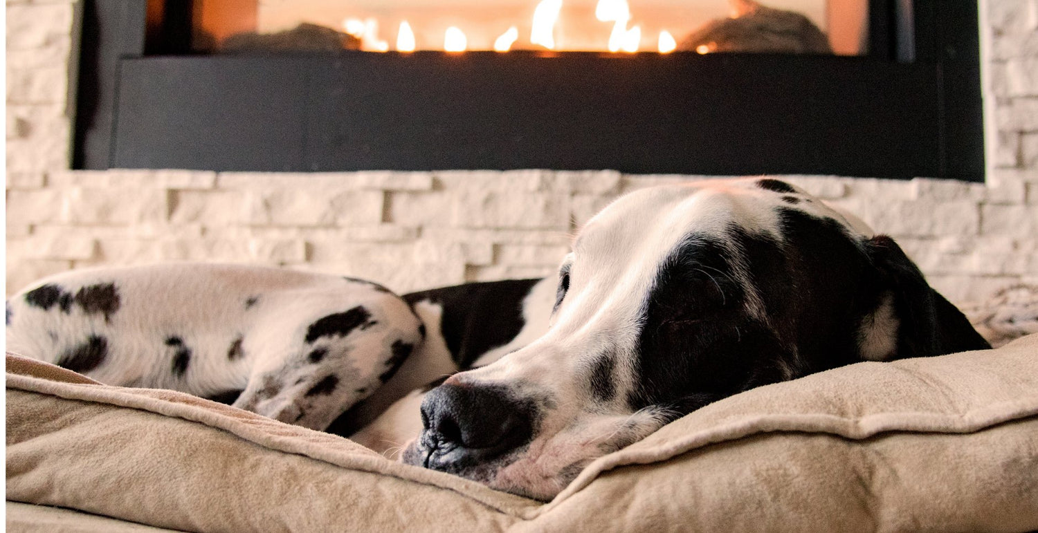 Dog Beds