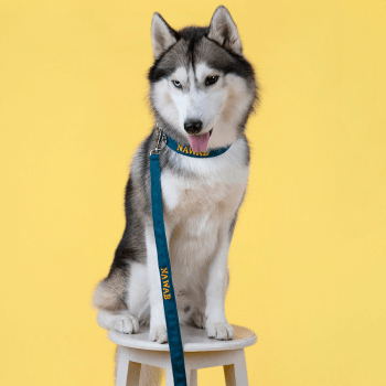 Customised Leash