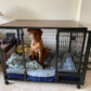 Petarchi PEPPER® Dog Crate