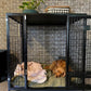 Petarchi PEPPER® Dog Crate