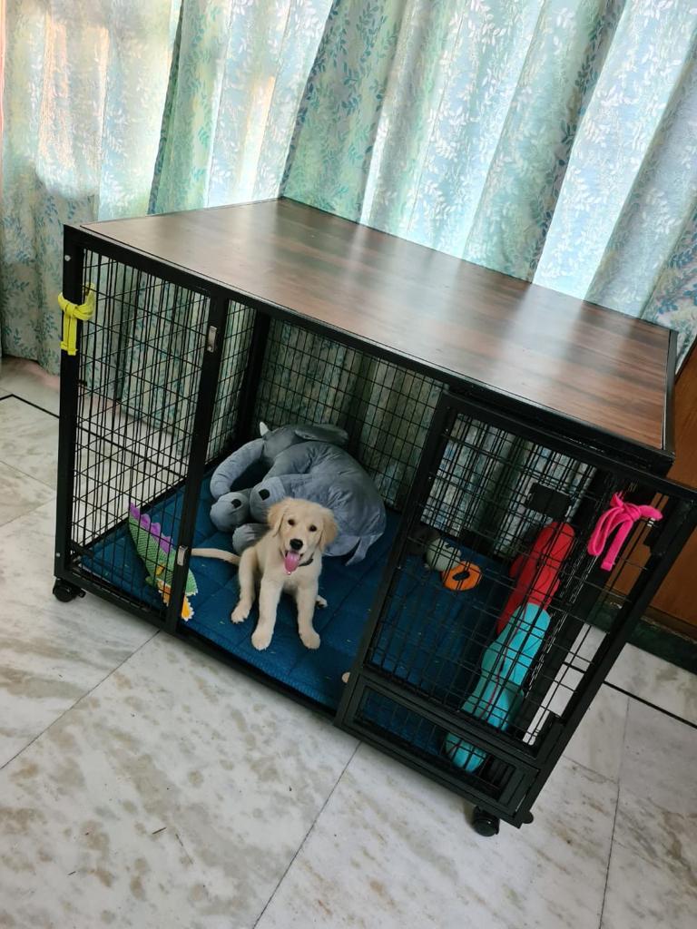 Petarchi PEPPER® Dog Crate