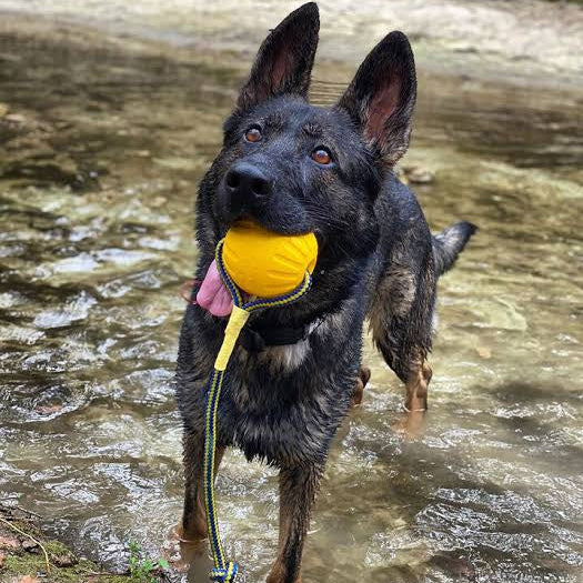 Petarchi UltraGrip Foam Rope Ball
