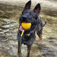 Petarchi UltraGrip Foam Rope Ball
