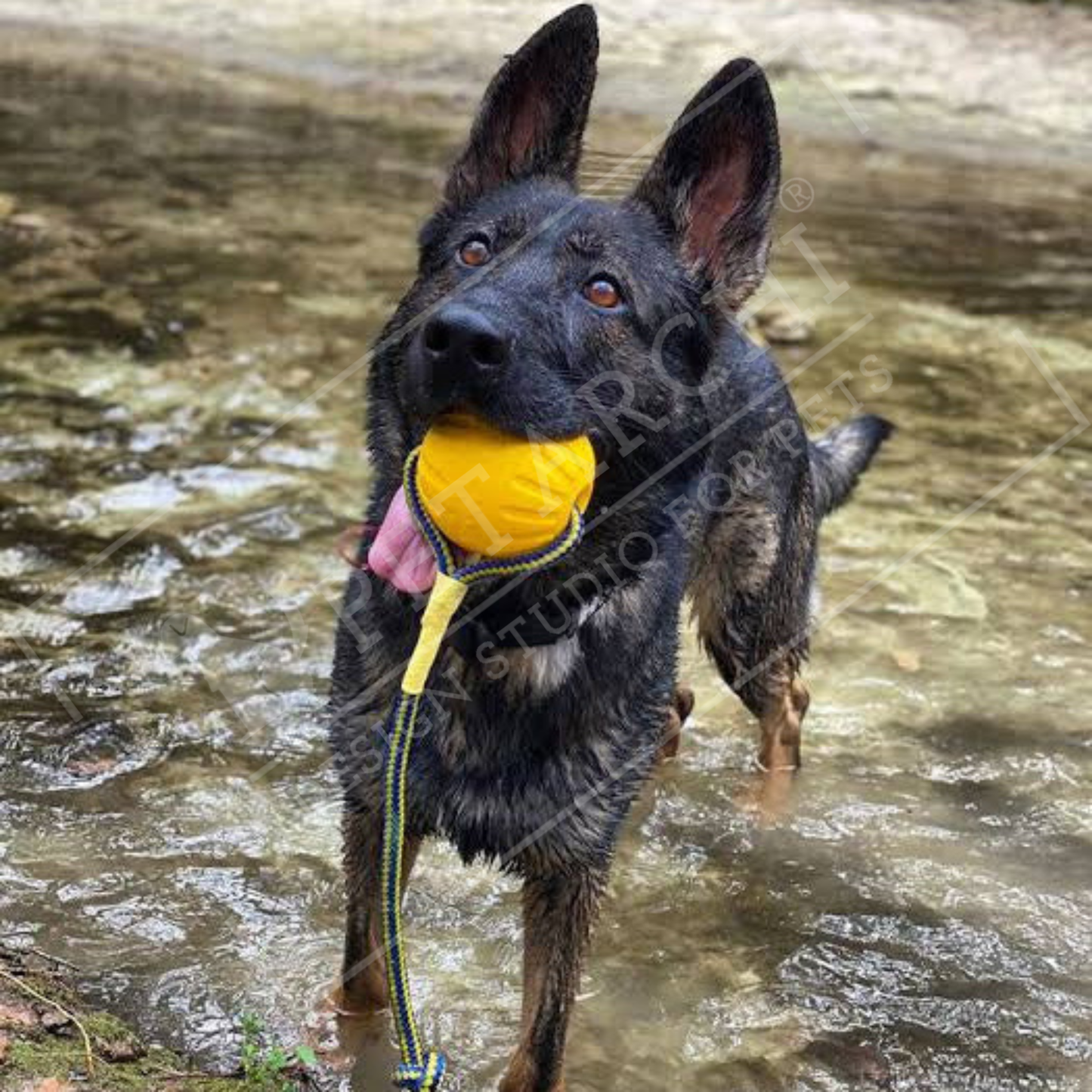 Petarchi UltraGrip Foam Rope Ball