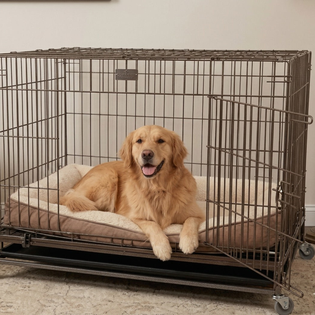 Petarchi Wire Crate with Stand and Wheels