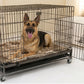 Petarchi Wire Crate with Stand and Wheels