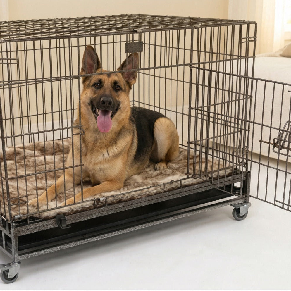 Petarchi Wire Crate with Stand and Wheels