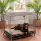 Petarchi Wire Crate with Stand and Wheels