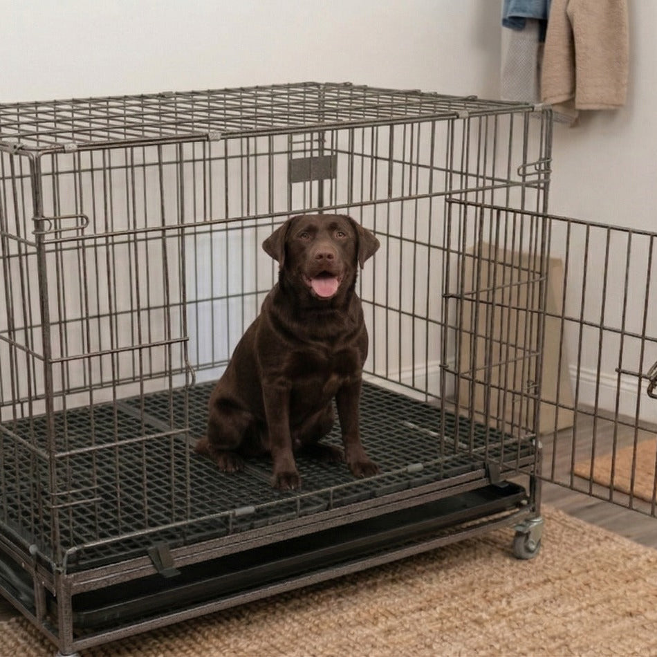 Petarchi Wire Crate with Stand and Wheels