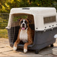 Petarchi's IATA Approved Flight Crate