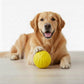 Petarchi Ruff Foam Ball