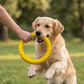 Petarchi Ruff Foam Puller Ring