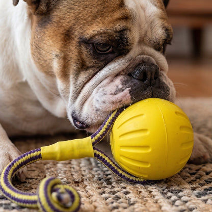 Petarchi UltraGrip Foam Rope Ball