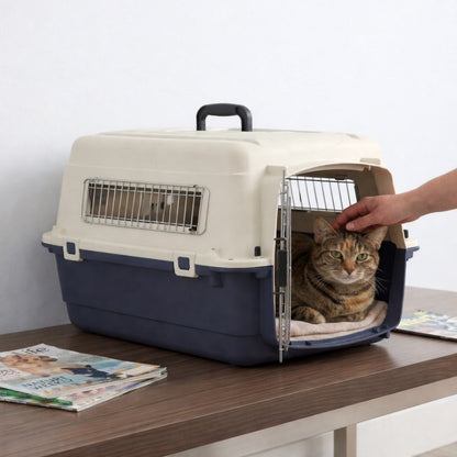 Petarchi's IATA Approved Flight Crate