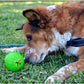 Starmark Treat Dispensing Chew Ball