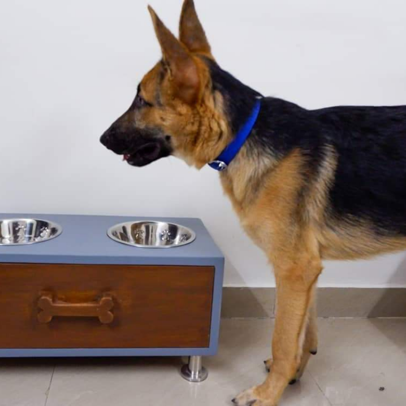 Petarchi Kumbi Food Bowl Stand with Storage