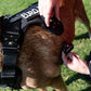 Euro Joe Tactical Harness