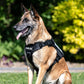 Euro Joe Tactical Harness