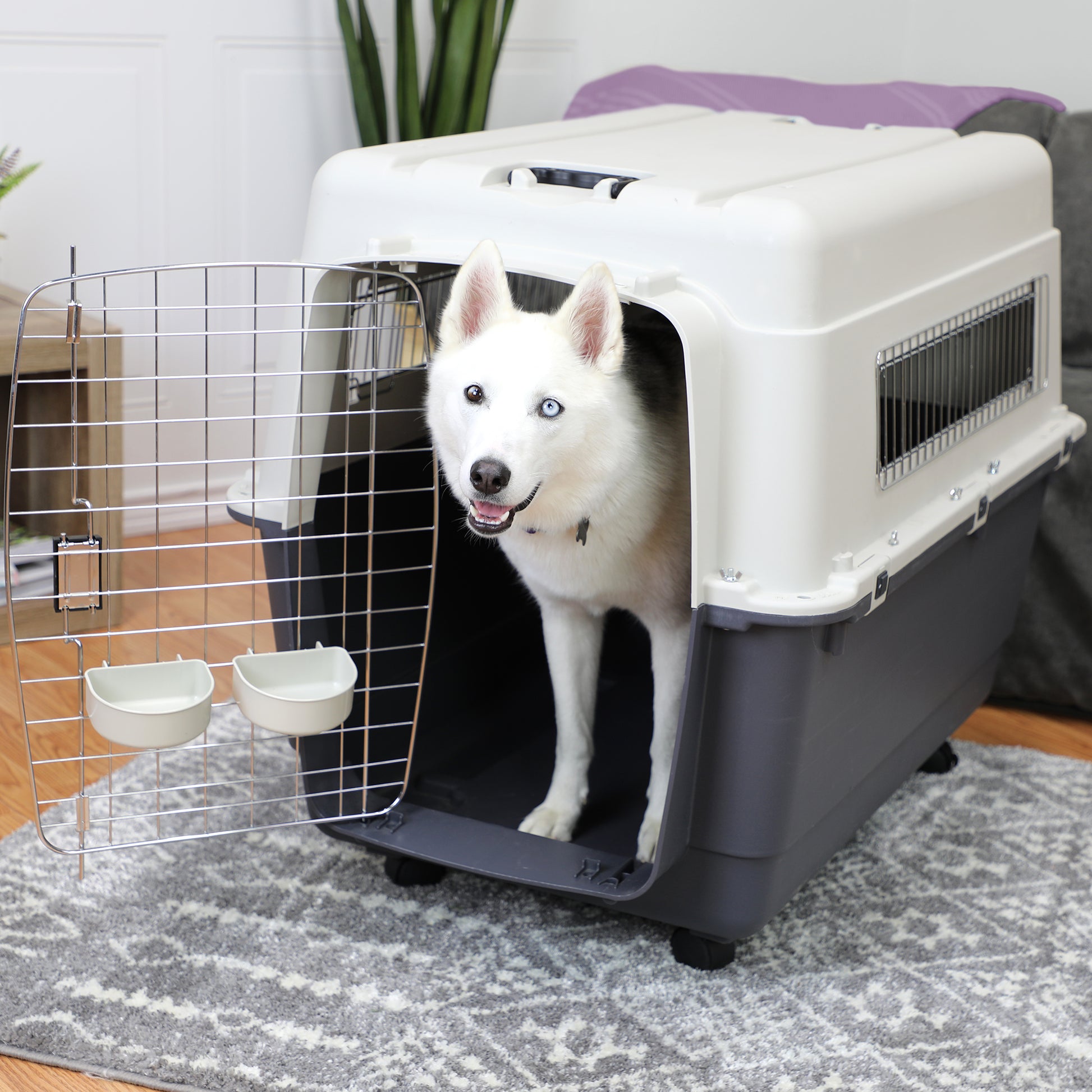 Airline Approved Xl Dog Travel Kennel Dog Travel Crate Giant Dog