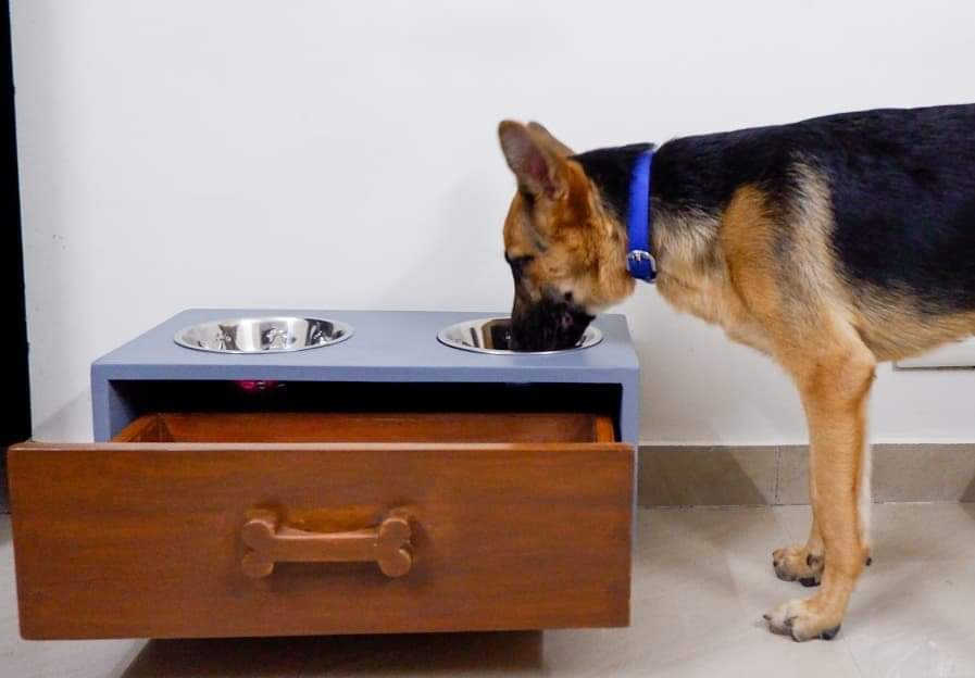 Petarchi Kumbi Food Bowl Stand with Storage