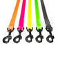Euro Joe Sporty Leash with Handle 20mm