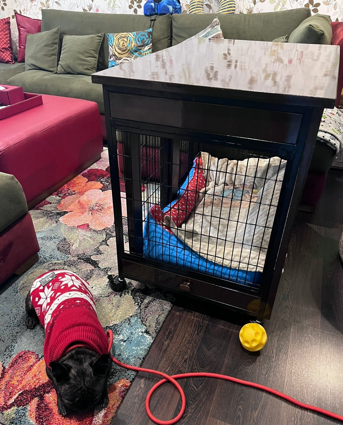 Petarchi AARI® Dog Custom Crate