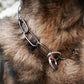Herm Sprenger Fursaver Collar(Stainless Steel)
