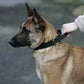 Euro Joe Agitation Collar "GRANDO"