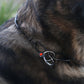 Herm Sprenger Fursaver Collar(Stainless Steel)