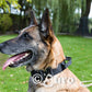 Euro Joe Tactical Collar