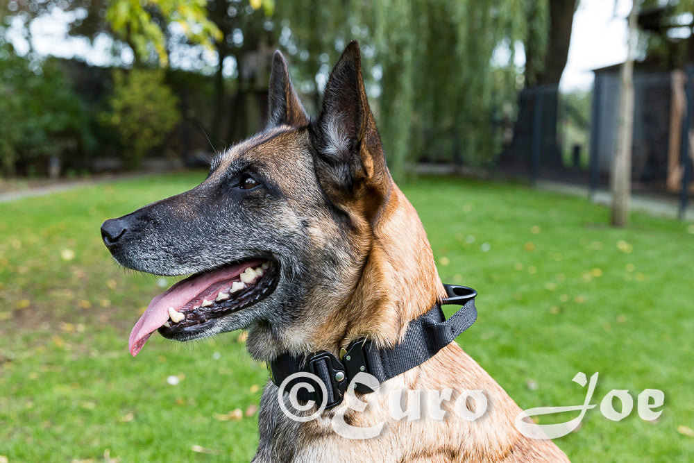 Euro Joe Tactical Collar